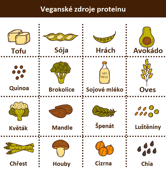 Veganské zdroje bílkovin