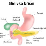 Jak na prevenci rakoviny slinivky?