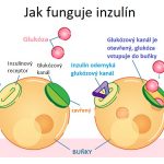 Inzulín – revoluce v léčbě diabetu – trocha z historie