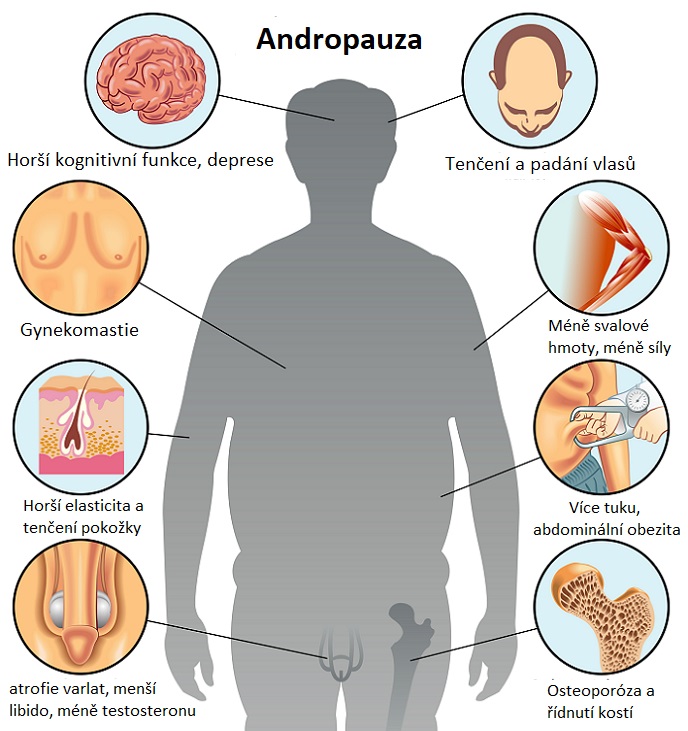 Příznaky andropauzy - ilustrace