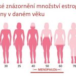 Estrogen – kompletní přehled – jaké má funkce v těle?