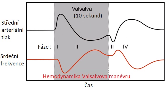 Fáze Valsalvových manévrů