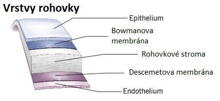 Vrstvy rohovky