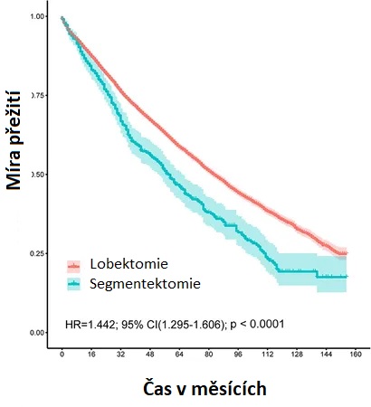Celkové přežití u pacientů po lobektomii a segmentektomii.